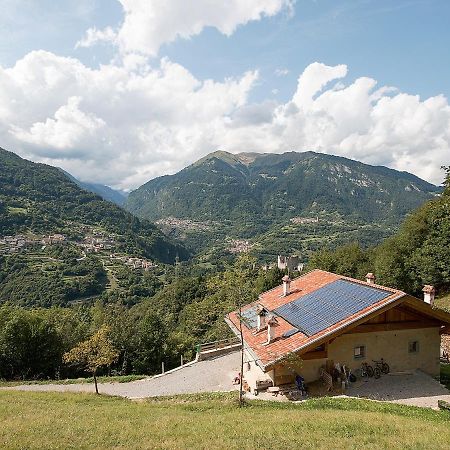 Agriturismo La Meta 피에브디보노 외부 사진
