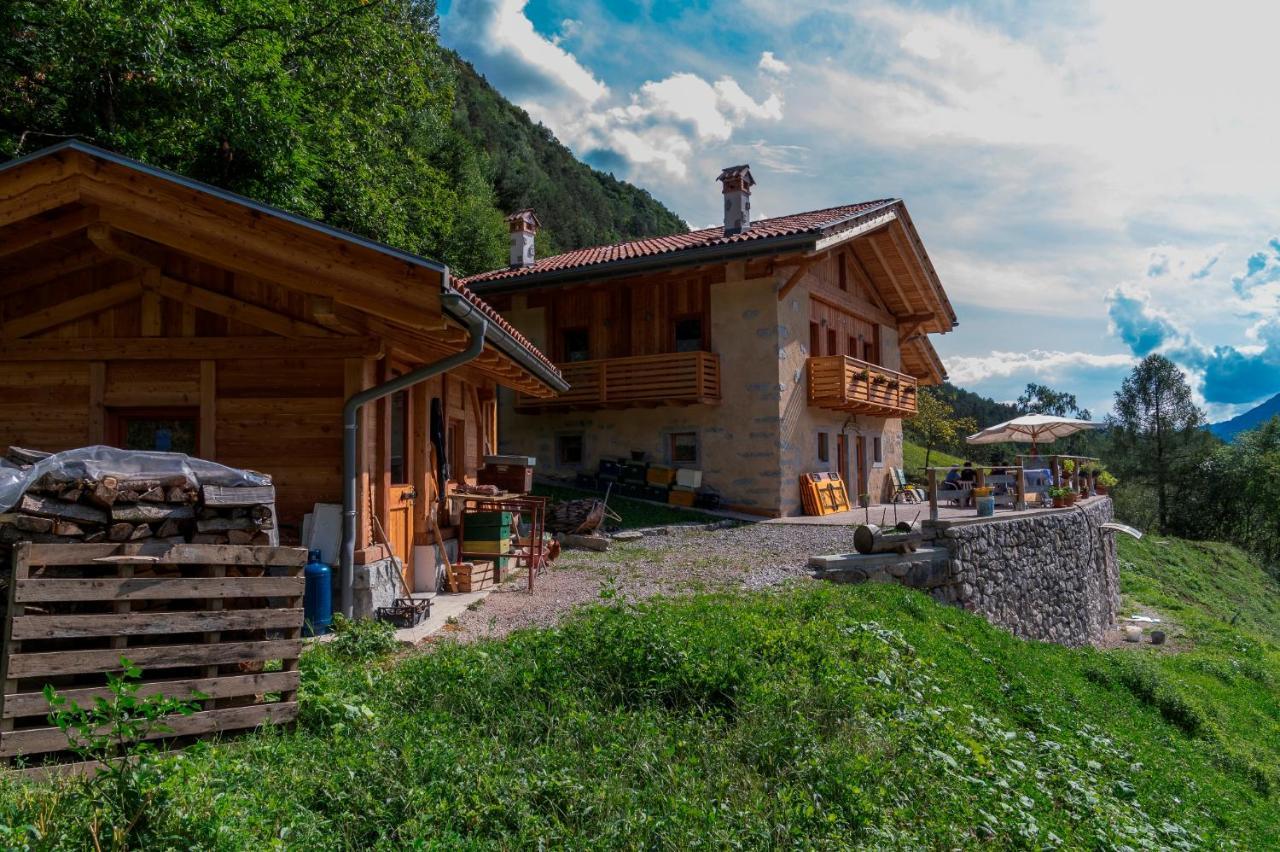 Agriturismo La Meta 피에브디보노 외부 사진
